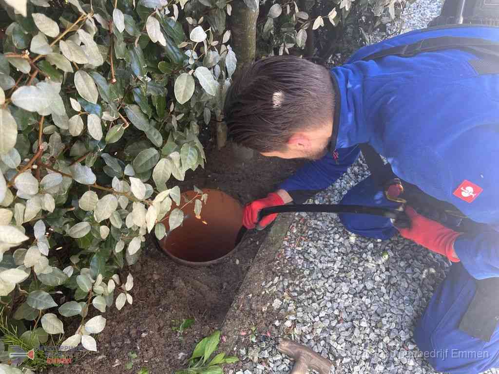 Rioolvliegjes Emmen Rioolvliegjes Emmen